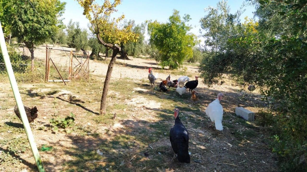 Cortijo La Torre De Caniles La Vega  Екстер'єр фото